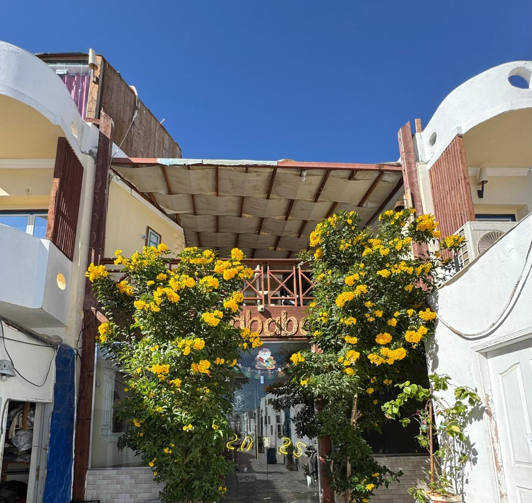 Sababa Hotel Dahab Dış mekan fotoğraf
